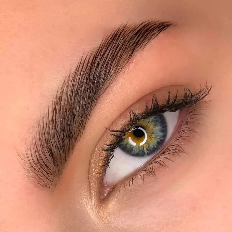 Ciglia e sopracciglia